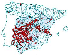 Cobitis paludica_mapa.jpg